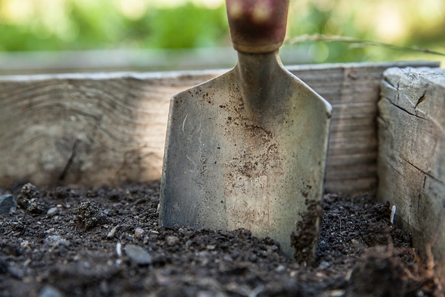 experienced gardener tending to Irish garden plants and soil preparation
